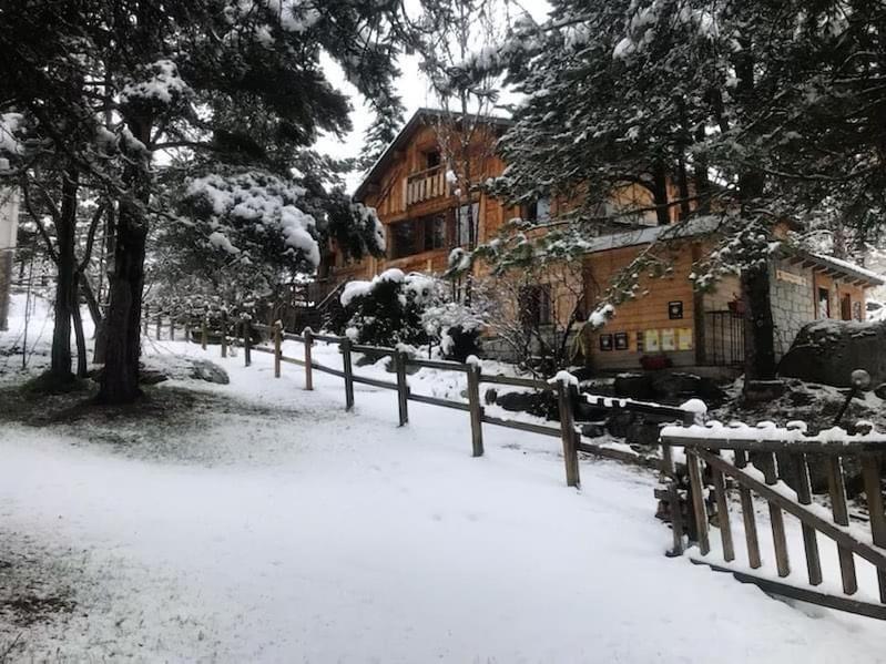 Chalet Pomme De Pin 5 Chambres 12 A 14 Personnes Formiguères Eksteriør billede