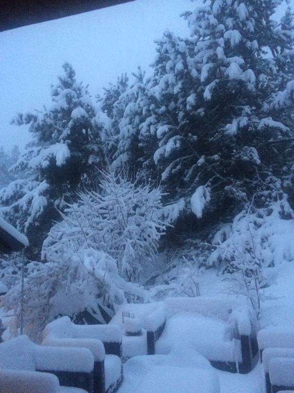 Chalet Pomme De Pin 5 Chambres 12 A 14 Personnes Formiguères Eksteriør billede