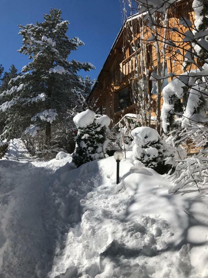Chalet Pomme De Pin 5 Chambres 12 A 14 Personnes Formiguères Eksteriør billede