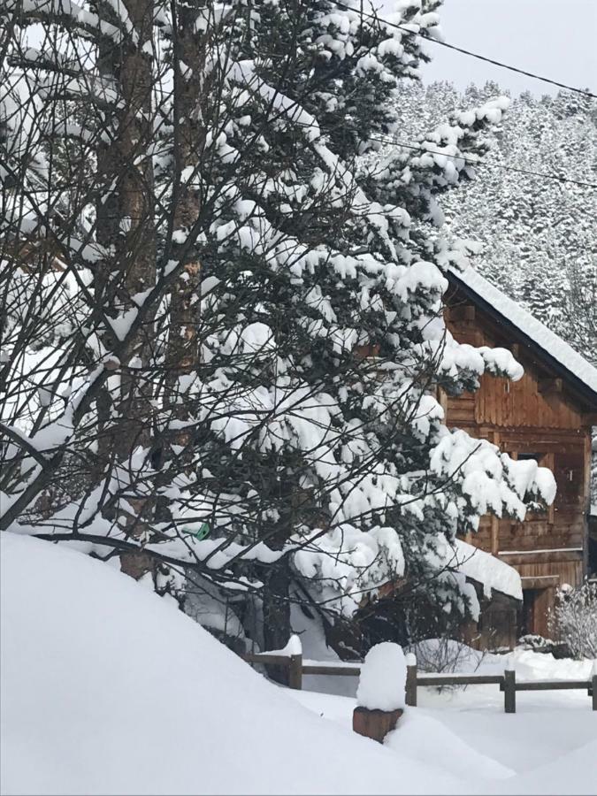 Chalet Pomme De Pin 5 Chambres 12 A 14 Personnes Formiguères Eksteriør billede