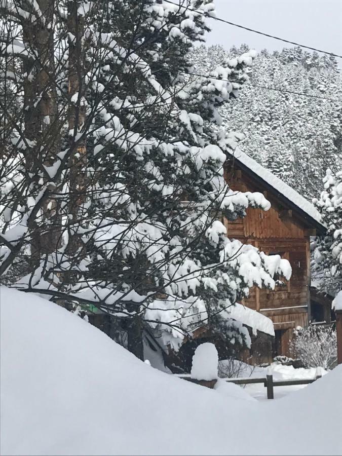 Chalet Pomme De Pin 5 Chambres 12 A 14 Personnes Formiguères Eksteriør billede